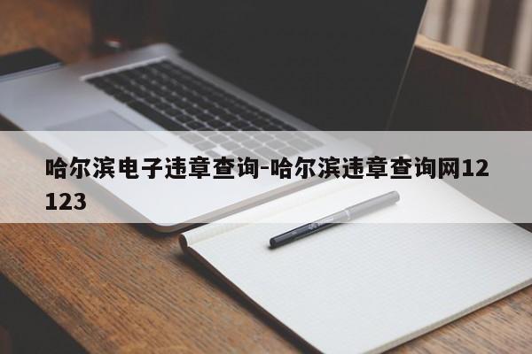 哈尔滨电子违章查询-哈尔滨违章查询网12123